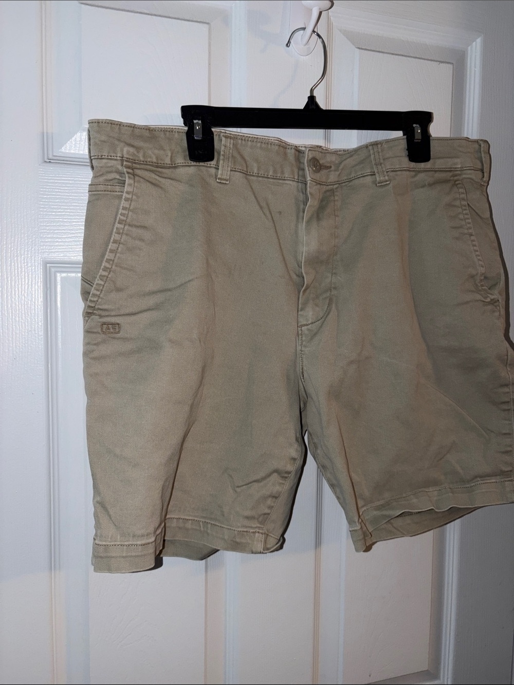 American Eagle Outfitters Men's Tan Flat-Front Shorts